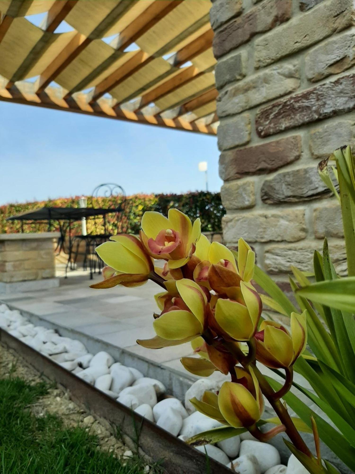 Casalfarano Alojamento de Turismo Rural