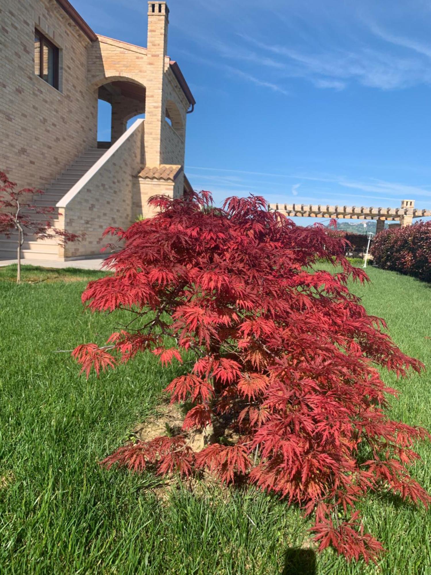 Alojamento de Turismo Rural Casalfarano Cupra Marittima
