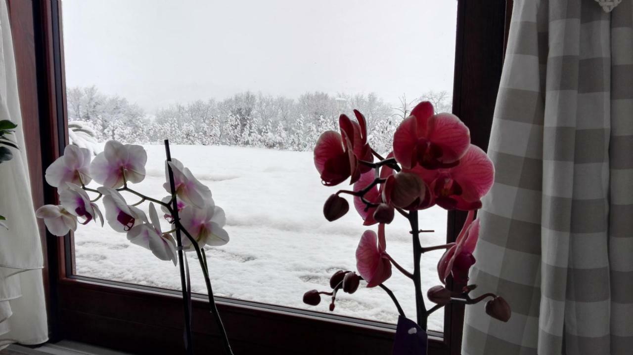 Casalfarano Farm stay